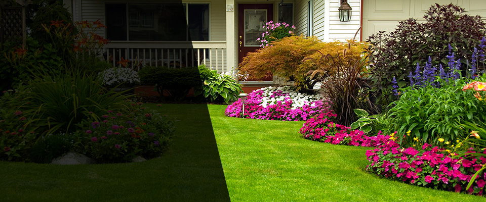 Irvington Landscapers